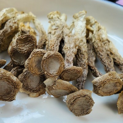 优质鹿茸菇干货500g一级鹿茸菌无硫新鲜煲汤散装批发 3斤图3