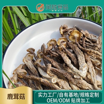 优质鹿茸菇干货500g一级鹿茸菌无硫新鲜煲汤散装批发 3斤