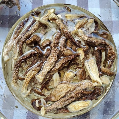 优质鹿茸菇干货500g一级鹿茸菌无硫新鲜煲汤散装批发 3斤图2