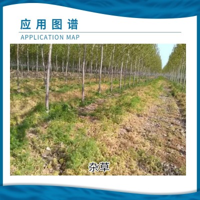 利尔奥秋 20%精草铵膦铵盐草安胺铵磷农药非耕地除杂草除草剂5kg图3