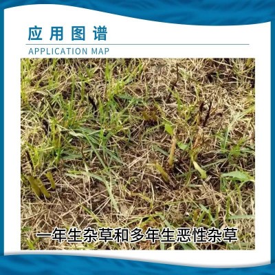 金帆达888草甘膦 80%草甘膦铵盐 烂根死根除杂草农药草甘膦除草剂图4
