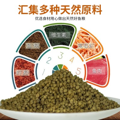 鱼宝红水族观赏鱼 金鱼上浮颗粒鱼饲料 锦鲤饲料 鱼粮 鱼食批发图2