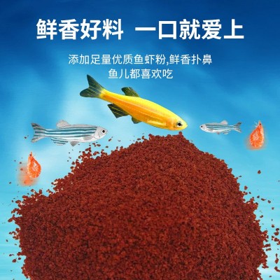 鱼宝红微颗粒热带鱼粮小鱼孔雀鱼灯科鱼小型鱼鱼食鱼粮开口饲料图3