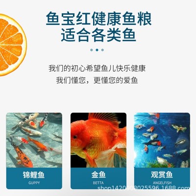 鱼宝红水族上浮颗粒观赏鱼金鱼小锦鲤鱼鱼食鱼粮冷水鱼鱼饲料图3