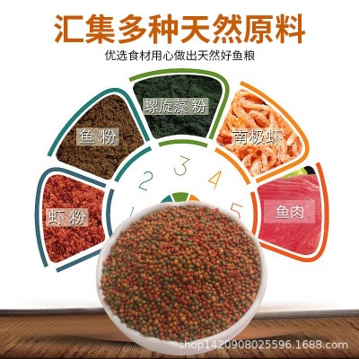 鱼宝红水族上浮颗粒观赏鱼金鱼小锦鲤鱼鱼食鱼粮冷水鱼鱼饲料图2