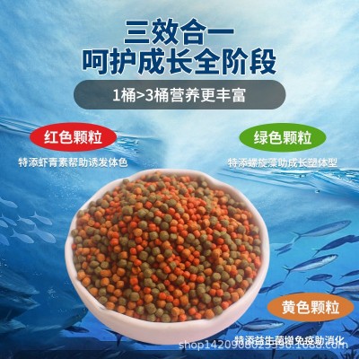 鱼宝红水族上浮颗粒观赏鱼金鱼小锦鲤鱼鱼食鱼粮冷水鱼鱼饲料图4