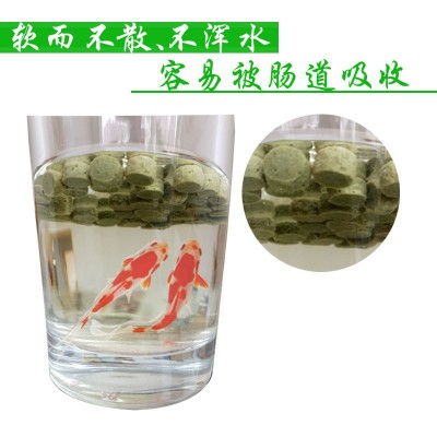 锦鲤饲料增色鱼粮鱼饲料小颗粒金鱼饲料观赏鱼通用型鱼缸鱼食饵料图3