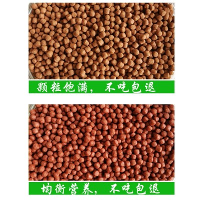 再宠鱼食观赏鱼饲料血鹦鹉鱼增红鱼粮龙鱼地图招财罗汉金鱼龟饲料图3