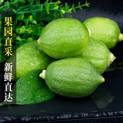 新鲜香水柠檬广东无籽青柠檬热带应季水果一级柠檬批发奶茶店专用 1斤图2