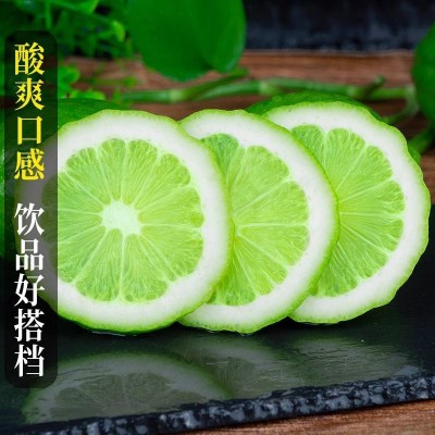新鲜香水柠檬广东无籽青柠檬热带应季水果一级柠檬批发奶茶店专用 1斤图3