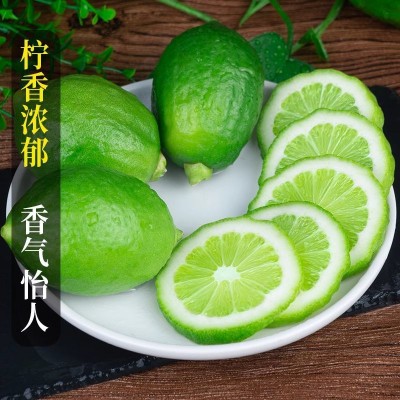 新鲜香水柠檬广东无籽青柠檬热带应季水果一级柠檬批发奶茶店专用 1斤图5