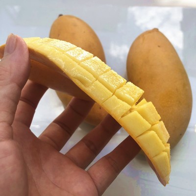 水果芒果哈尼蜜芒黄皮非广西百色桂七芒奶香浓郁现摘黄金糖度27 1件图5