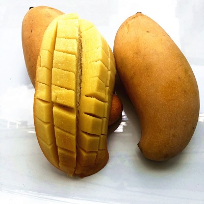 水果芒果哈尼蜜芒黄皮非广西百色桂七芒奶香浓郁现摘黄金糖度27 1件图3