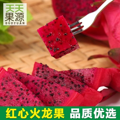 产地直发海南金都一号红心火龙果小果5斤京都火龙果时令水果新鲜 1件图5