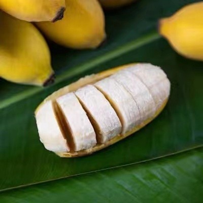 【严选】广西产地直供新鲜小米蕉粉蕉新鲜当季水果米蕉现摘香蕉 3斤图3