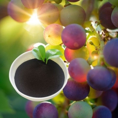 厂家批发 EDDHA-Fe 6% 螯合铁 植物有机肥原料 全水 溶粉末 1000千克图4