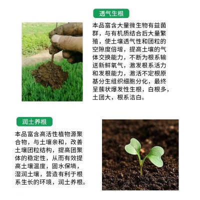 厂家直销通用型生根粉肥料扦插移栽树木生根粉生根壮苗发根 剂袋装 80袋图2