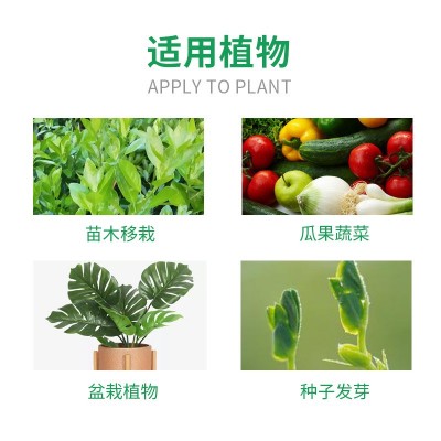 厂家直销通用型生根粉肥料扦插移栽树木生根粉生根壮苗发根 剂袋装 80袋图4