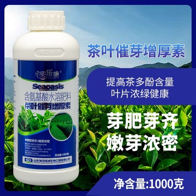 茶叶催芽增厚素叶肥喷施生长素专用叶面肥爆牙素水溶肥茶 树专用 12桶