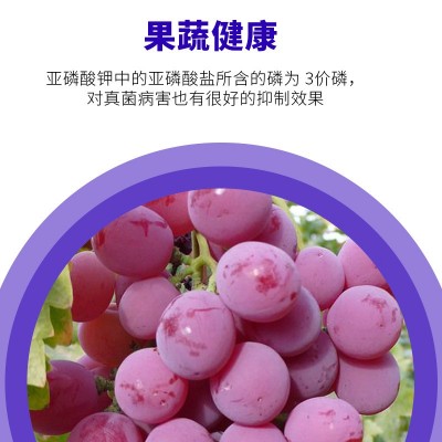 通用亚磷酸钾大量元素水溶肥叶面肥冲施肥农用花芽分化山 东高含量 1瓶图3