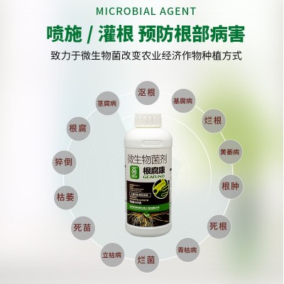 根腐康微生物菌剂烂根防根腐病青枯病僵苗果树花卉药材蔬 菜抑菌 12瓶图2