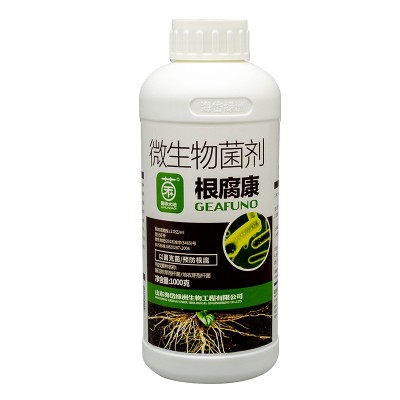 根腐康微生物菌剂烂根防根腐病青枯病僵苗果树花卉药材蔬 菜抑菌 12瓶图5