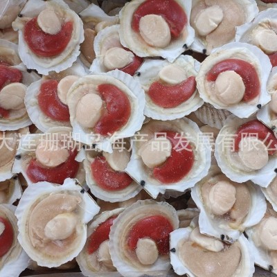 半壳贝、半壳虾夷贝、扇贝 2吨