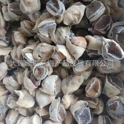 海螺肉，熟冻海螺肉，海螺，大连海螺，螺肉批发厂家海螺天然贝壳 30千克图2