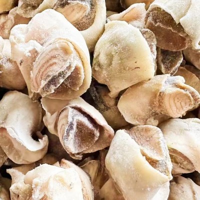 海螺肉，熟冻海螺肉，海螺，大连海螺，螺肉批发厂家海螺天然贝壳 30千克图3
