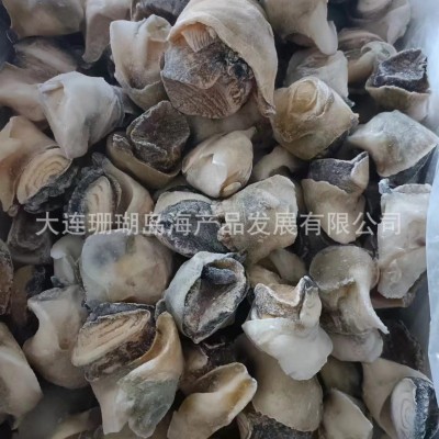 海螺肉，熟冻海螺肉，海螺，大连海螺，螺肉批发厂家海螺天然贝壳 30千克图4