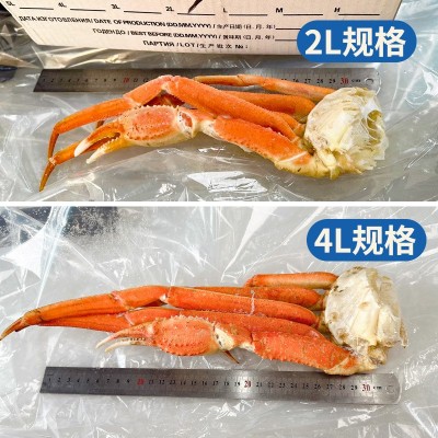 现货俄罗斯蟹腿自助餐超大蟹脚肉盐冻松叶蟹海鲜长脚熟蟹腿帝王蟹 5公斤图2