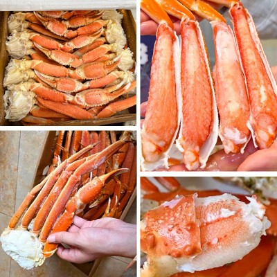 现货俄罗斯蟹腿自助餐超大蟹脚肉盐冻松叶蟹海鲜长脚熟蟹腿帝王蟹 5公斤图4
