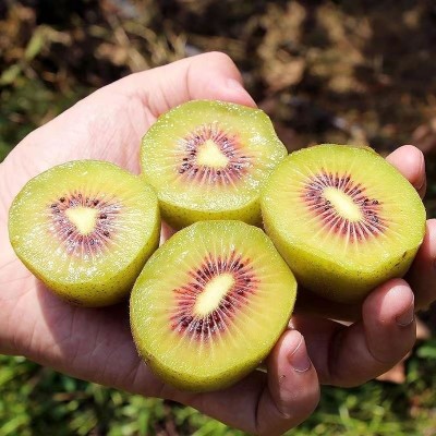 正宗红心猕猴桃30个整箱新鲜水果10批发包邮5四川浦江弥猴奇异果图4