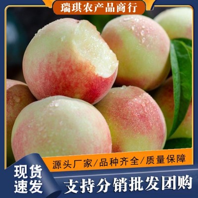 正宗山东青州蜜桃5斤整箱新鲜应季水果3批发包邮10当季毛桃脆桃子图2