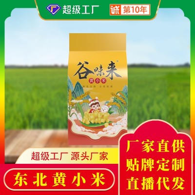 正宗敖汉小米内蒙新米内蒙赤峰小米批发敖汉黄小米熬粥农家小米图3