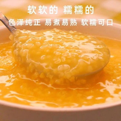 正宗敖汉小米内蒙新米内蒙赤峰小米批发敖汉黄小米熬粥农家小米图4