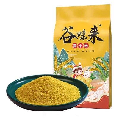 正宗敖汉小米内蒙新米内蒙赤峰小米批发敖汉黄小米熬粥农家小米图5