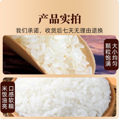 五常米大米稻花香2号新米5斤大米一袋10kg一袋批发软糯香甜图4