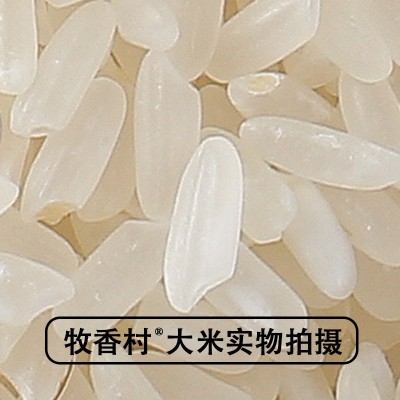 东北大米五常大米10斤一袋新米现磨20斤批发零售GB/T192 66产地图4