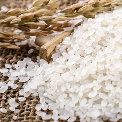 东北大米10斤黑龙江秋收新米圆粒珍珠米秋田小町香米厂直批可代发图4