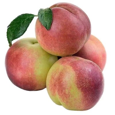 青州蜜桃毛桃桃子新鲜脆桃脆甜非水蜜桃新鲜水果当季水果整箱批发图4
