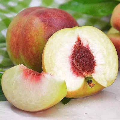 青州蜜桃毛桃桃子新鲜脆桃脆甜非水蜜桃新鲜水果当季水果整箱批发图3