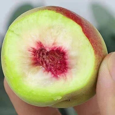 青州蜜桃毛桃桃子新鲜脆桃脆甜非水蜜桃新鲜水果当季水果整箱批发图2