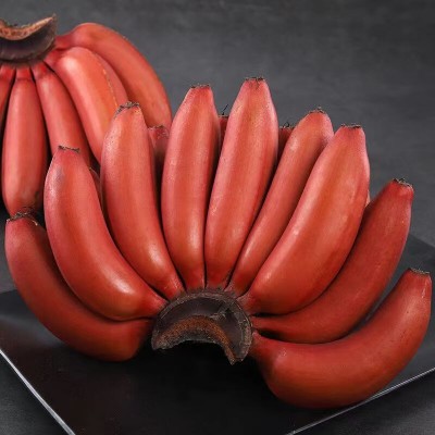 福建漳州红美人香蕉整箱应季新鲜水果香甜土楼红皮banana包邮代发图2