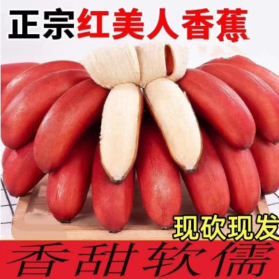 福建漳州红美人香蕉整箱应季新鲜水果香甜土楼红皮banana包邮代发