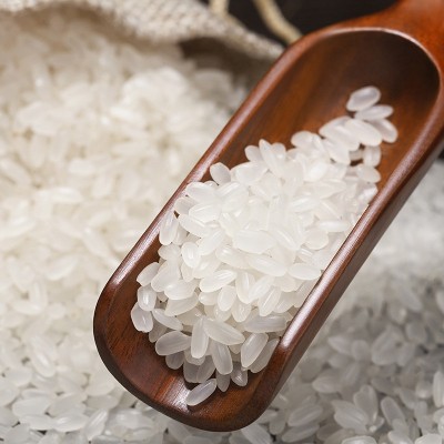 五斤 金龙鱼 长粒香大米 东北大米 臻选长粒香大米2.5kg 批发包邮图4