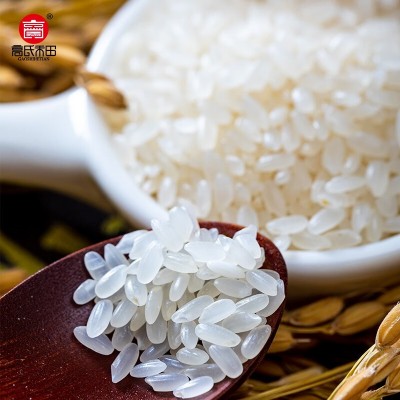 有机五常大米5kg长粒稻花香2米餐饮新米专用各种规格大米5kg一袋图5