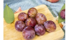 西梅的功效与作用及营养价值