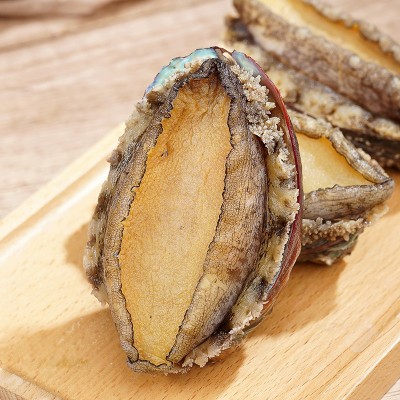 带壳鲍鱼鲜活速冻鲍鱼冷冻鲍鱼即食漂烫鲍鱼水产酒店佛跳墙食材 1斤图3