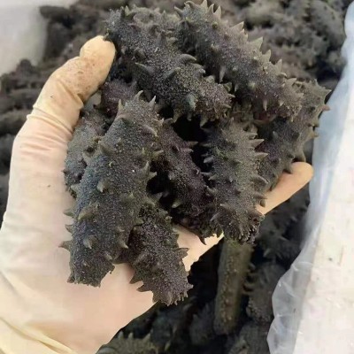 大连辽刺参盐渍半干海参拉缸盐海参批发 非即食海参干货批发500g 1件图3